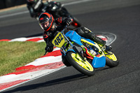 brands-hatch-photographs;brands-no-limits-trackday;cadwell-trackday-photographs;enduro-digital-images;event-digital-images;eventdigitalimages;no-limits-trackdays;peter-wileman-photography;racing-digital-images;trackday-digital-images;trackday-photos